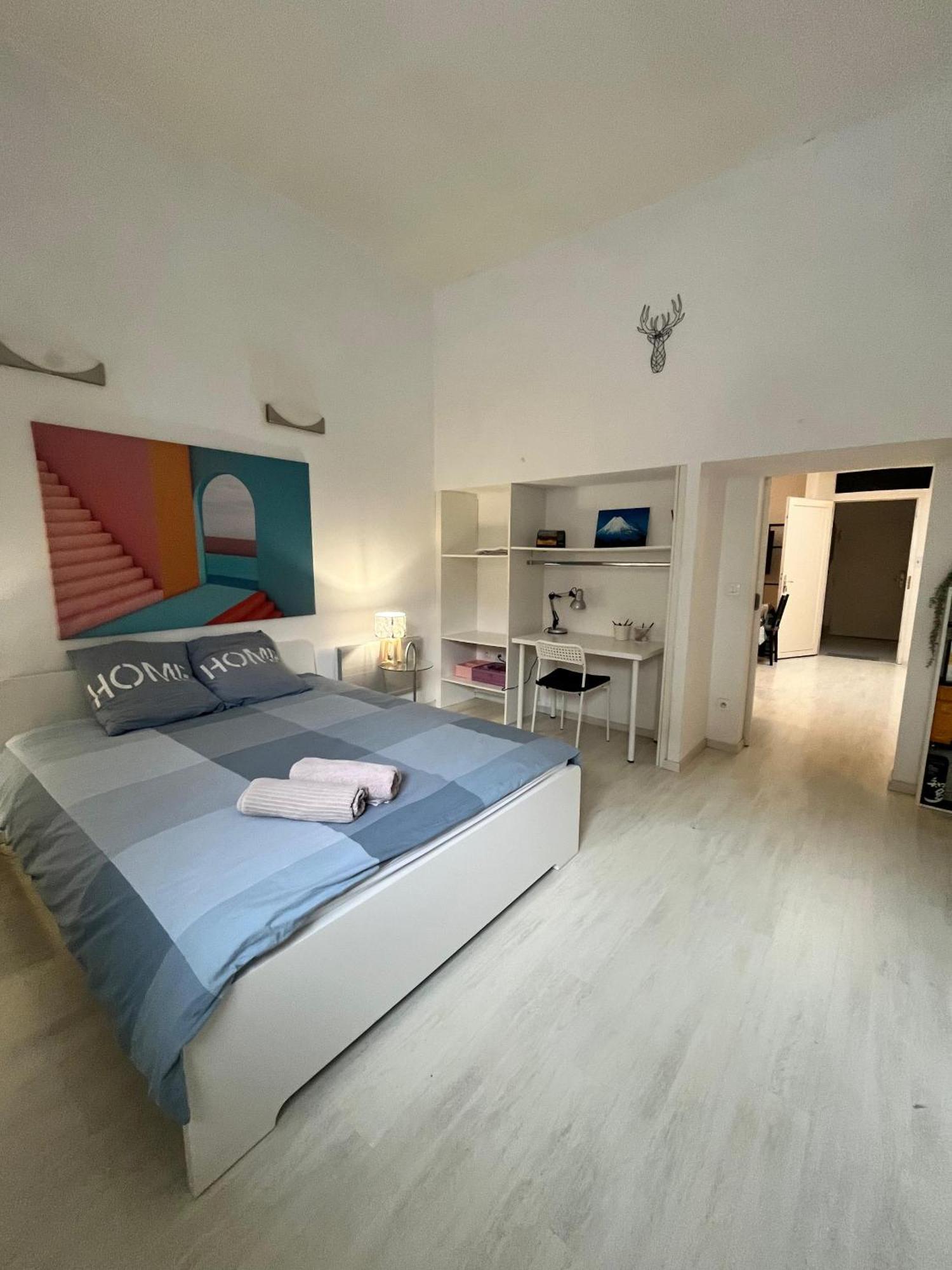 Tres Bel Appart Spacieux Proche Universites Et Centre Strazburg Dış mekan fotoğraf